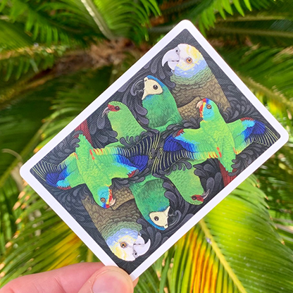 Gilded Bicycle Parrot Playing Cards-Playing Cards-Wondercraft