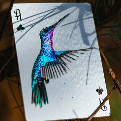 Marvelous Hummingbird Feathers (Blue) Playing Cards by Marvelous Decks-Playing Cards-Wondercraft
