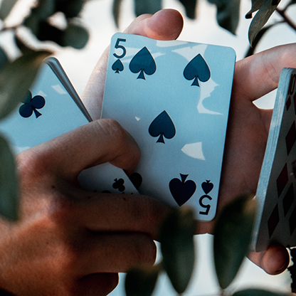 Viscid Playing Cards-Playing Cards-Wondercraft