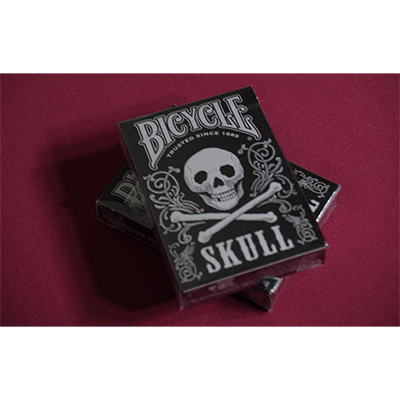 Bicycle Skull Metallic (Silver) USPCC by Gambler's Warehouse-Playing Cards-Wondercraft