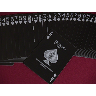 Bicycle Skull Metallic (Silver) USPCC by Gambler's Warehouse-Playing Cards-Wondercraft