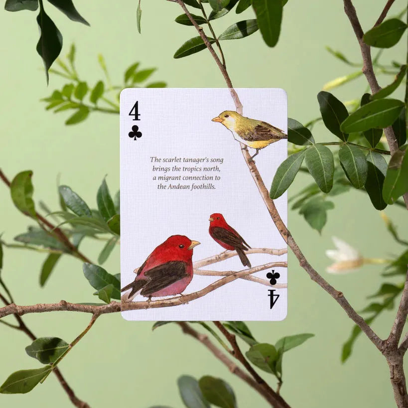 Eastern Forest, Art of Play-Playing Cards-Wondercraft