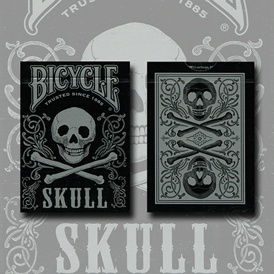 Bicycle Skull Metallic (Silver) USPCC by Gambler&#39;s Warehouse